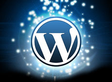 WordPress Tips by Ideas and Pixels