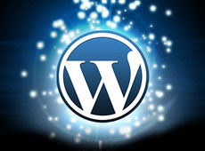 WordPress Tips and Solutions