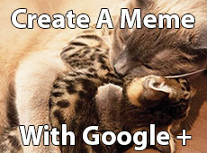 How to create a meme with Google Plus